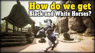 How do we get Black and White Horses?