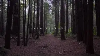 2019 New Zealand