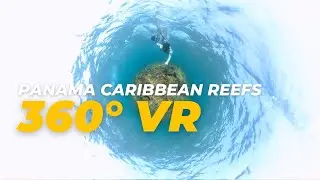 Exploring Hidden Secrets of VR 360 Panamanian Caribbean Reef