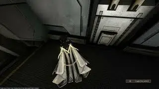 Nulwarden Syandana