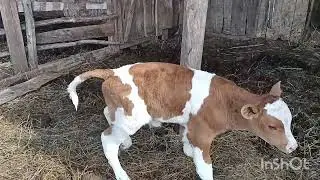 Не долго ждали.