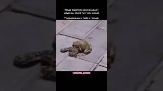 #егэ