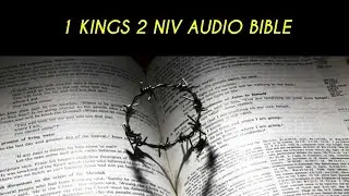 1KINGS 2 NIV AUDIO BIBLE (with text)