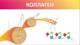 Напиток красоты НААРА (Naara). Гидролизованный коллаген