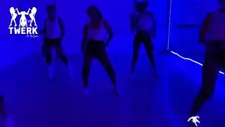 I Wanna Love You Twerk Girls Akon
