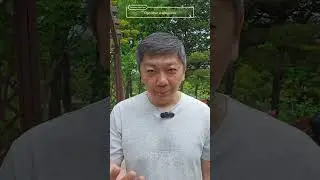 В Корее вас за это не похвалят!