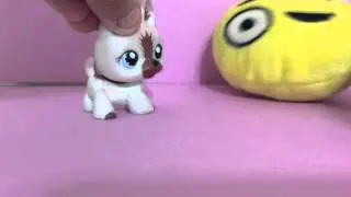 LPSskittles "We are beautiful" ( READ DESCRIPTION SKITTLES PLZ)