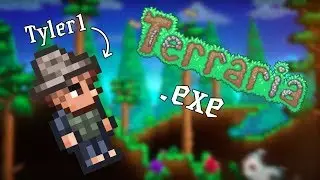 Terraria.exe