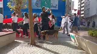 Korteje eşlik eden köpek