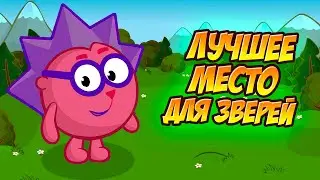 ПРОХОЖДЕНИЕ | ЛУЧШЕЕ МЕСТО ДЛЯ ЗВЕРЕЙ! // НОВЫЙ ПРОМОКОД?!