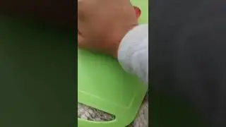 Слайм