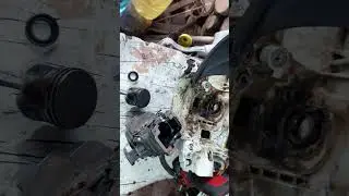 24 ноября 2023 г.