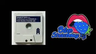 Tuccillo feat Kindbud - The Music Found Me (NYC Organ's Mix)