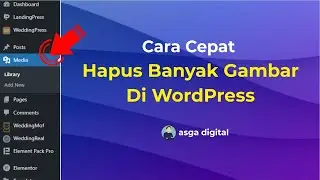 Cara Cepat Hapus Banyak Gambar Di WordPress