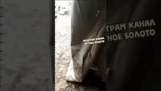 Мясо для заград отрядов .