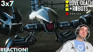 Love Death + Robots Reaction!! Season 3 Episode 7 【Mason's Rats】 3x7