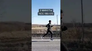 Беговая тренировка фартлек 
