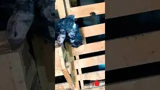 калангизга Койилимиз
