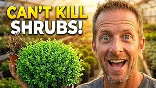 Tired of Dead Plants? Try These 10 Impossible-to-Kill Shrubs