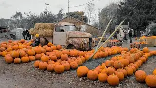 Exploring Howells Farm | A Canadian Fall Adventure | A Day at Howells Farm