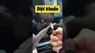 এটা কি দেখুন😰😨 #tiktok #viral #amazingfacts #factsbyrakib #funny #love #banglarfacts