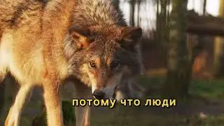 Никому не доверяй