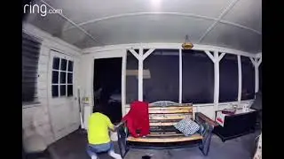 When You Swap Role With Your Dog