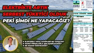 Electric Vehicle Owners Are Now Free Consumers / Will Companies Organize Campaigns?
