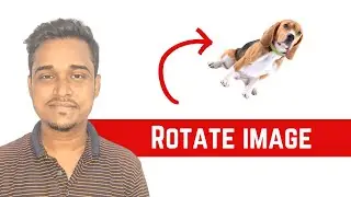 How to Rotate an image with Adobe Express - Adobe Express Tutorial