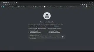 website issues
