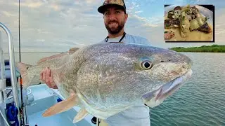 Catch-and-cook: Lots of redfish, incredible lunch!