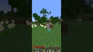The HermitCraft Salmon Bro's