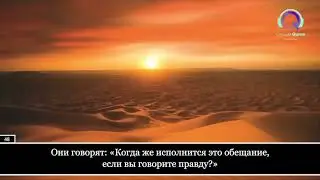 20 февраля 2024 г.