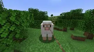 taking my stupid ahh ahh sheep for a walk
