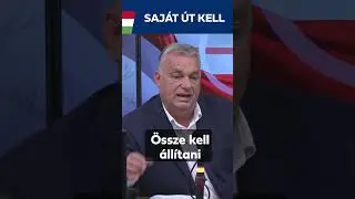 Saját gazdasági modell kell
