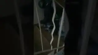 Боец территориальной обороны в подъезде дома до смерти забивает кинжалом человека.
