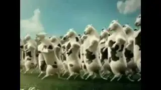 Happy Birthday, Funny Cows Style!