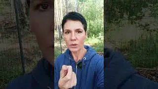 Что это такое - Виватон? Коротко описываю.