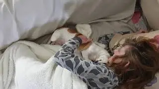 שנטי הכלבה הכי מפונקת בעולם