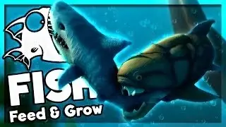 Как исправить ошибку при запуске игры Feed and grow: Fish