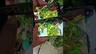realme 8 4G vs realme X7 5G realme UI 3.0 after update camera test quality camera test 