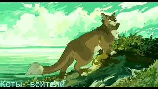 Клип коты-воители песня «Молния»