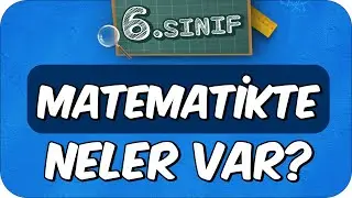 6. Sınıf Matematikte Neler Var? Matematik Dersine Nasıl Çalışır❓