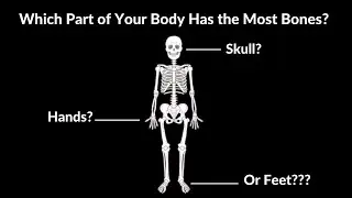 Can You Pass This Human Anatomy Quiz?