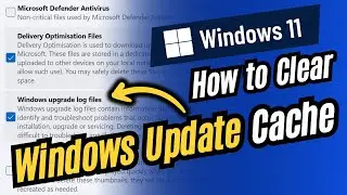 How to Clear Windows Update Cache on Windows 11 | 🪟 Delete Windows Update Cache