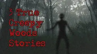 3 CREEPY True Woods Stories