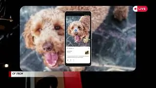 How to Use Google Lens' AI Search