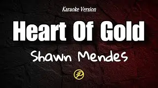 Shawn Mendes - Heart of Gold - Karaoke Lyrics