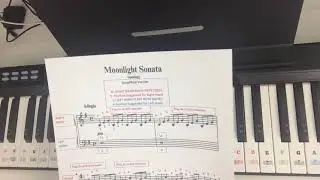 Treble Up w/ Moonlight Sonata by Beethoven (Not Tutorial)