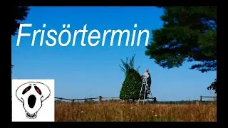 Es ist mal wieder soweit: Frisörtermin